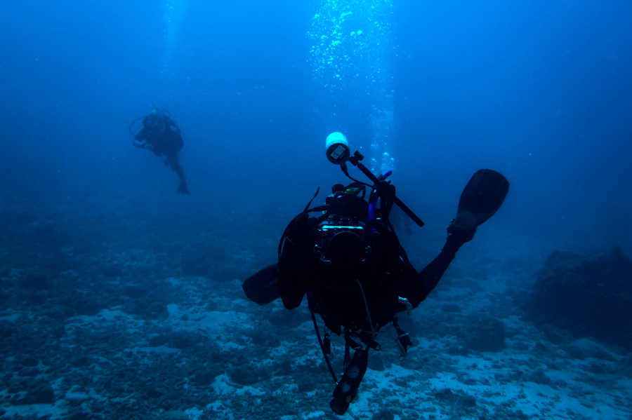 37-mauritius-2010-photo-chris-erlbeck-090027.jpg